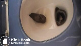 1217681_DrqduD_129207