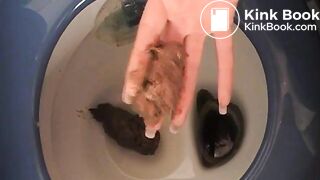 1217681_DrqduD_129207