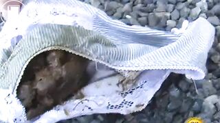 Perfect panty pooping -