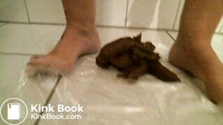 Solid poop with added vaginal surprise