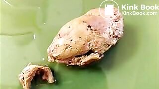 Dakota_Kayla_Kricket