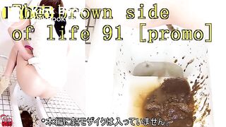 The brown side of life 91