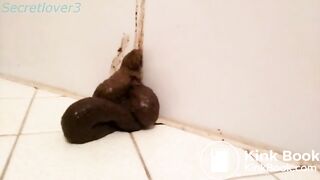 Nice Shit In the Bathroom