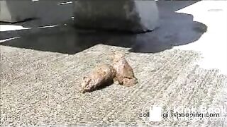 Pauline_Kisha outdoor poop