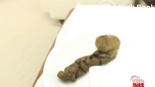 Shit on a plate and examine the shit 7