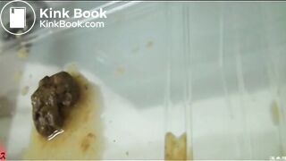 Asian Woman - The Shits 1