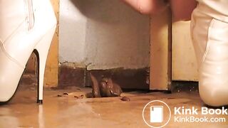 1217681_CTW9vN_132165