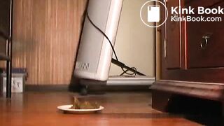 plate pooping assiette