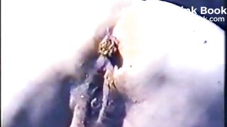 Petronella och finska skit-kärringen