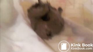 JANEYE'S HOT GAS & STINKY SHIT