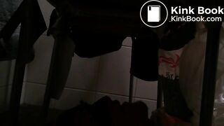 My toilet slave experience