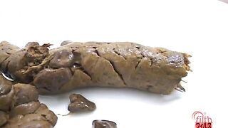 Shit on a plate and examine the shit 2