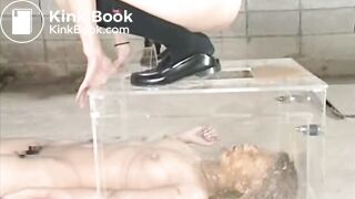 The brown side of life 520