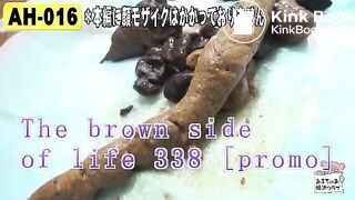 The brown side of life 338