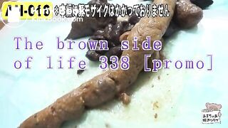 The brown side of life 338