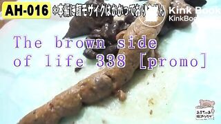 The brown side of life 338