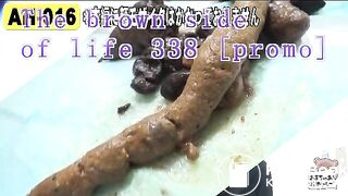 The brown side of life 338