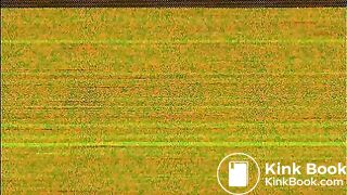 EVO Jade Toilet Cam-part00