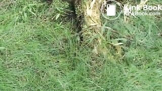 Scat cute teen takes a shit