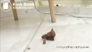 Brz_Fernanda_Diana_Janie