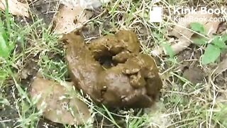 Jade Filth F15-14 2-18