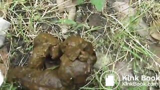 Jade Filth F15-14 2-18