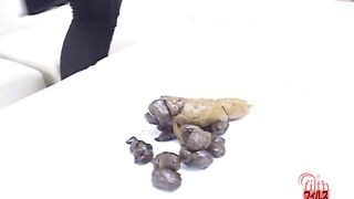 Shit on a plate and examine the shit 4