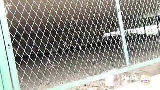 Let me take a selfie