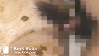 The brown side of life 466