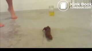 Sexy big poop on floor