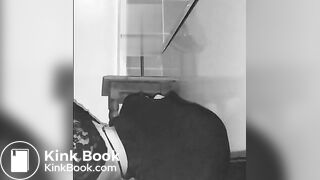 Feeding the Painslut with Scat