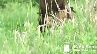 Jade Filth F15-14 2-22