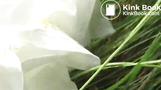 Jade Filth F15-14 2-22