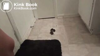 The brown side of life 1037