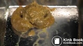 GIRL TIED UP AND FORCED TO SHIT