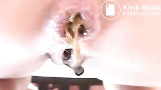 Scat - College Girls Pooping Vol 8