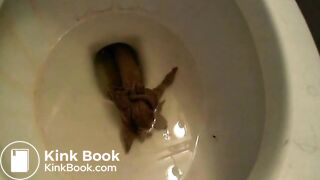 Porcelain Lilith Farting and Pooping (4)