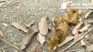 Jade Filth F15-14 2-20