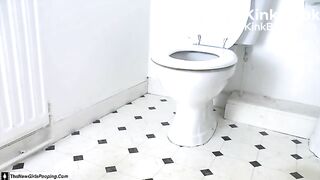 2 Ploppy Splashy Toilet Scenes