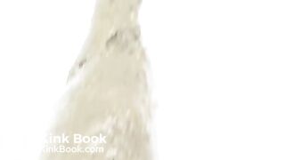 Unflushable Big Log 01