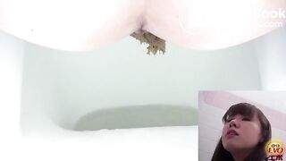 Unflushable Big Log 01