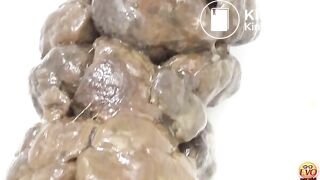 Unflushable Big Log 01