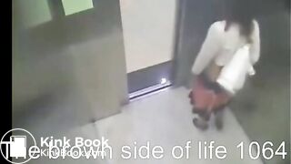 The brown side of life 1064