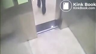 The brown side of life 1064