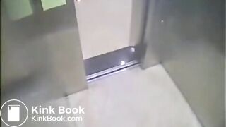 The brown side of life 1064