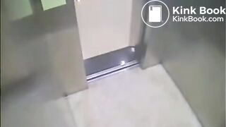 The brown side of life 1064