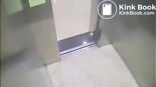 The brown side of life 1064