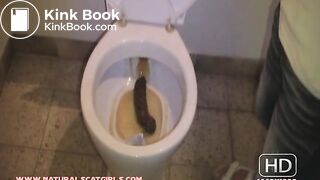 Huge poop in nasty public toilet