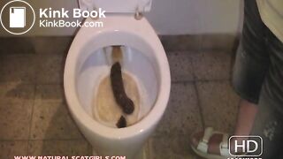 Huge poop in nasty public toilet