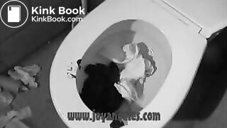 Spy cam catches 3 different girls shitting all over a public toilet - GREAT! (webcam, pee piss, shit, scat, HARD porn)